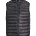 JPRCCCAVE QUILTED VEST